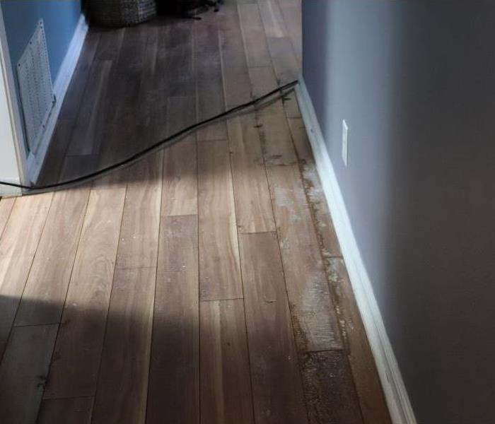 Wood floor in hallway ruined by water damage.