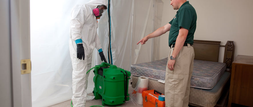 Escondido, CA mold removal process